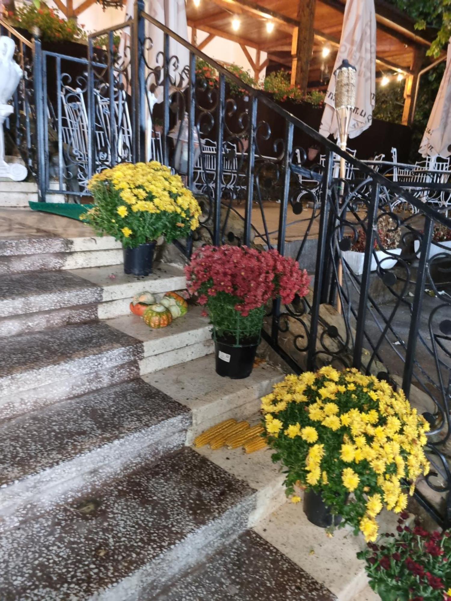 Hotel Casa Boiereasca Iasi Exteriér fotografie